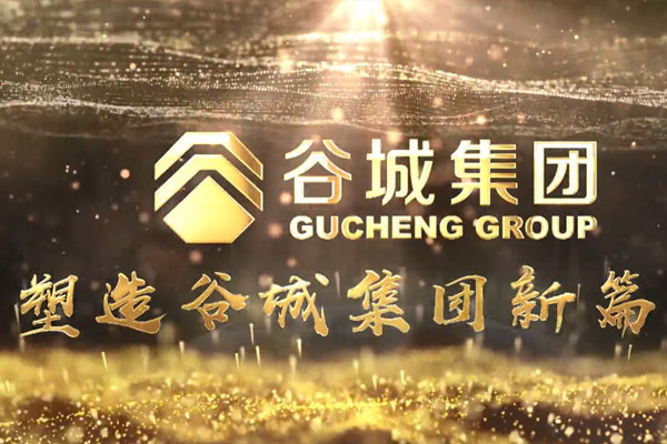 共筑新時代，不負韶華夢——谷城集團隆重舉行2019年度榮譽表彰大會暨2020年迎春年會